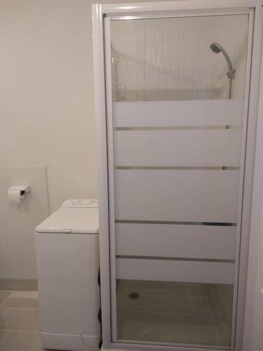 La salle de bains est pourvue de toilettes et d'une douche vitrée. dans l'établissement Le Grau-du-Roi Studio 4 pers 150 M de la mer parking, au Grau-du-Roi