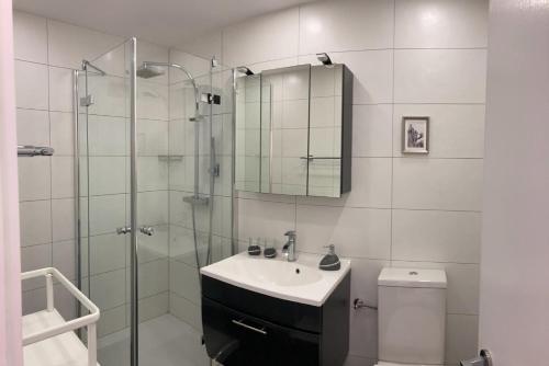uma casa de banho com um chuveiro, um lavatório e um WC. em Flaminia Wohnung 15 - Best view and Free parking! em Leukerbad