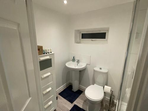 a small bathroom with a toilet and a sink at The Cosy Cottage, Old Soles bridge Lane in Chorleywood