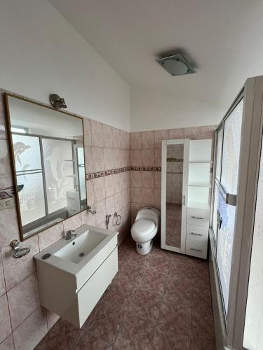 ein Bad mit einem Waschbecken und einem WC in der Unterkunft El Rincon de la Naturaleza in Puyo