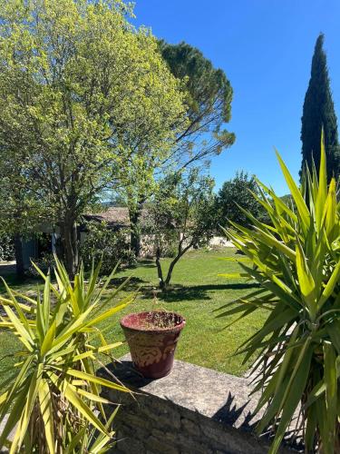 La Bastide de Sigalasにある庭