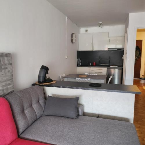 un salon avec un canapé et une cuisine dans l'établissement studio terrasse, à Mauguio