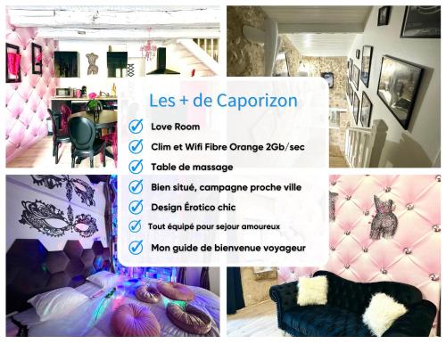 un collage de photos d'une pièce avec un prospectus dans l'établissement Caporizon-Lov'BNB-La seule Love House de Dordogne, à Biras