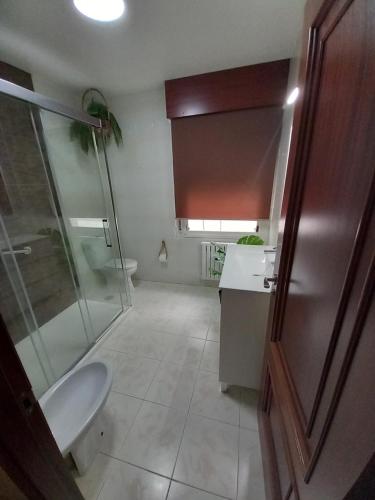 een badkamer met een douche, een toilet en een wastafel bij La Aurora in Camariñas