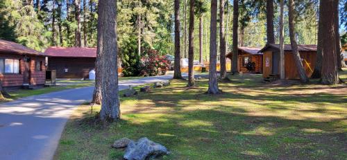 un grupo de árboles en un parque junto a una cabaña en Riverbend Cottage & RV Resort, en Parksville