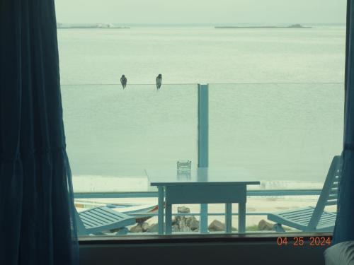two birds sitting on a table in front of the ocean at Ocean Sky B&B in Huxi