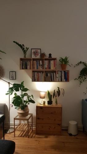un soggiorno con piante in vaso sul muro di Cozy room in Neukölln , Kreuzberg a Berlino