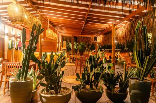 a group of potted plants in a restaurant at Soledade Bangalôs - Kauli Seadi in Macau