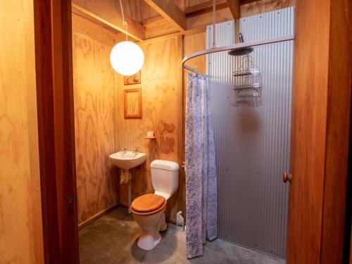 a bathroom with a toilet and a sink and a shower at The Gatehouse - Takaka Holiday Home in Takaka