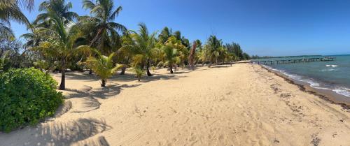 uma praia de areia com palmeiras e um cais em Sabal Beach em Punta Gorda