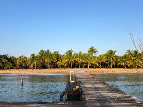 drewniana przystań z plażą i palmami w obiekcie Sabal Beach w mieście Punta Gorda
