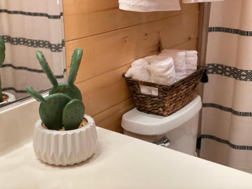 einen Kaktus auf einer Badezimmertheke neben einer Toilette in der Unterkunft Whispering Pines in Overgaard