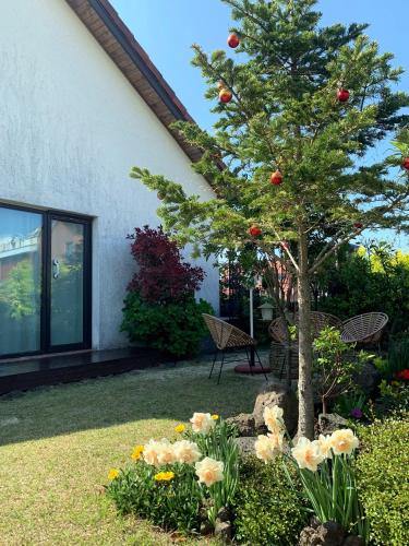 a tree in a yard next to a house at 함덕리준하네 in Jeju