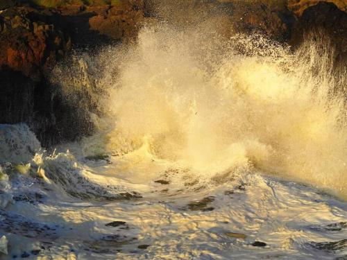 a painting of a wave in the water at Shorepine - Tiny Tranquility on the Oregon Coast! in Waldport
