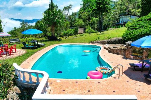 a swimming pool in a yard with chairs and umbrellas at Los de Arriba Hotel Cabaña familiar con piscina en Calima in Darién