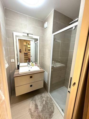 une salle de bain avec une douche, un lavabo et un miroir dans l'établissement Luxury House Porte VERSAILLES Eiffel, à Paris