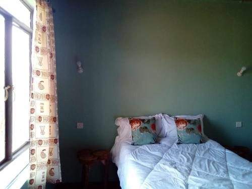 een slaapkamer met een bed met blauwe muren en een raam bij Heaven's Gate in Nakuru