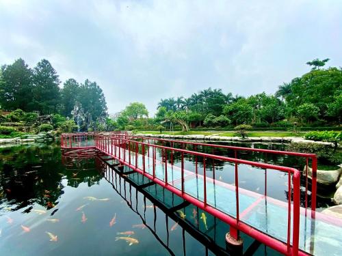 a red bridge over a pond with koi at Mango room3 in Xóm Chua Thanh