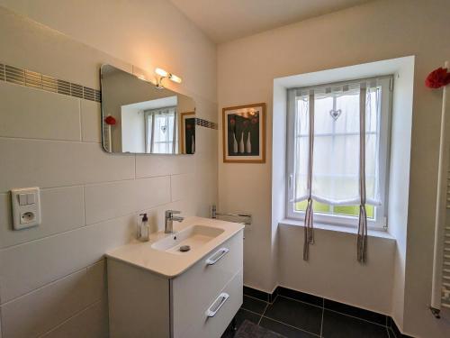 ein Bad mit einem Waschbecken, einem Spiegel und einem Fenster in der Unterkunft Gîte Argy, 3 pièces, 6 personnes - FR-1-591-253 in Argy