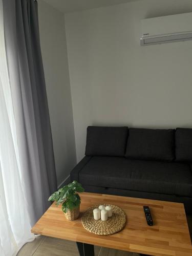 a living room with a couch and a coffee table at Włostowicka Ostoja Apartament in Puławy