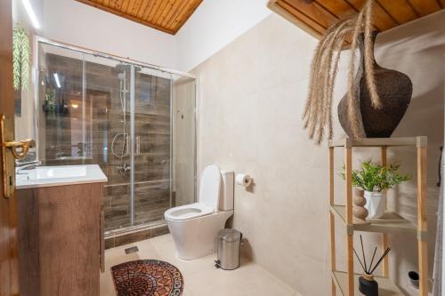 a bathroom with a toilet and a shower at Elviras houses II in Agria
