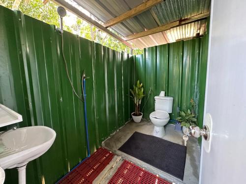 a green bathroom with a toilet and a sink at John and Agnes Nicol 