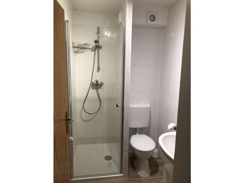 a bathroom with a shower and a toilet and a sink at Verpust Comfortable holiday residence in Horumersiel