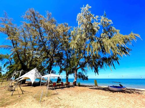 a beach with chairs and trees and the ocean at Kosmos Phu Quoc Apart Hotel in Phú Quốc