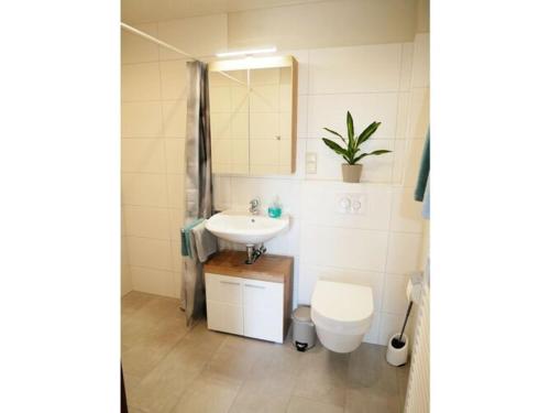 a bathroom with a sink and a toilet at Lovely apartment in Apartment Lina in Pilsum