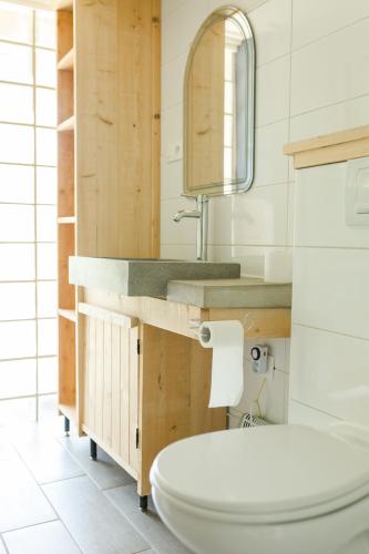 une salle de bain avec toilettes et lavabo dans l'établissement Chambres d'hôtes La Cressonne, à Saint-Seine