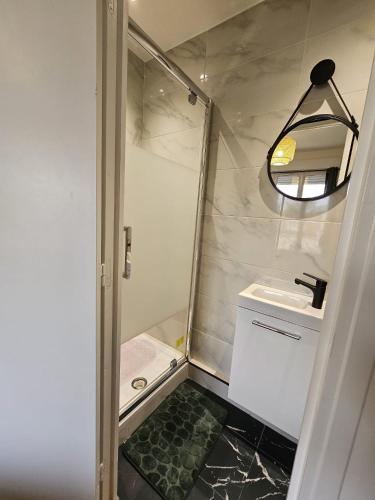 La petite salle de bains est pourvue d'une douche et d'un lavabo. dans l'établissement Chambre verte proche de stade de France, à Pierrefitte-sur-Seine
