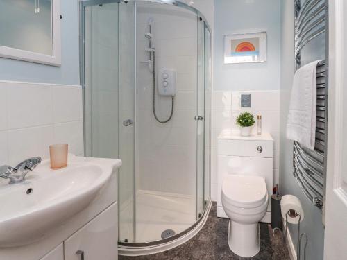 a bathroom with a shower and a toilet and a sink at Eden Bay Retreat in Morecambe