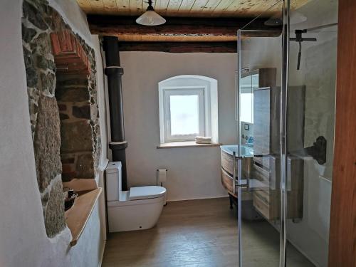 a bathroom with a toilet and a glass shower at Ferienhaus Emilia in Wilthen