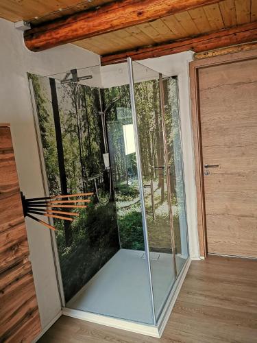 a glass shower in a room next to a door at Ferienhaus Emilia in Wilthen