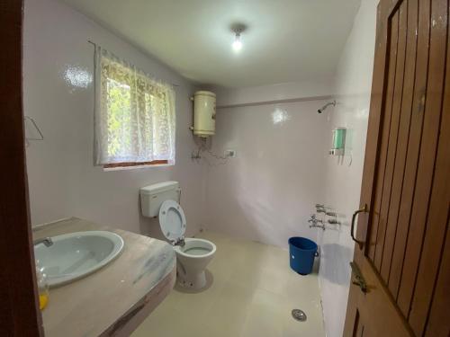 a bathroom with a sink and a toilet at Double Dutch, Old Manali in Manāli