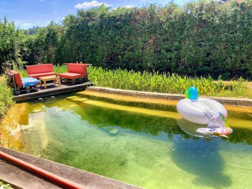 a plastic swan floating in a pond with two chairs and a rubber duck at Apartment Joelle mit Sauna, Schwimmteich und Gym in Erbach im Odenwald