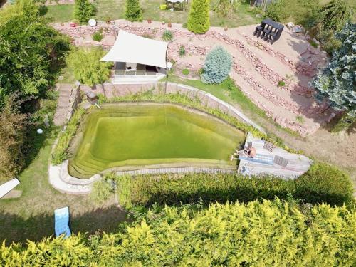 an overhead view of a small green pond in a garden at Apartment Joelle mit Sauna, Schwimmteich und Gym in Erbach im Odenwald