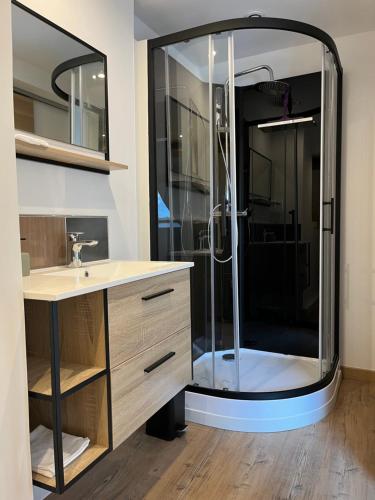 La salle de bains est pourvue d'une douche et d'un lavabo. dans l'établissement Appartement rive droite, à Boulogne-sur-Mer