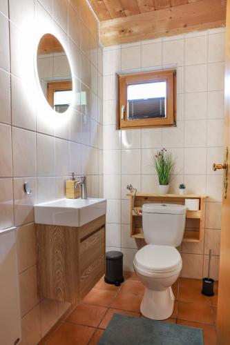 a bathroom with a toilet and a sink and a mirror at Bayerwaldchalet in Regen