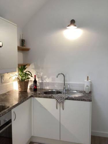 a kitchen counter with a sink and a light at Forest Heath Holidays - The Nook in Ringwood