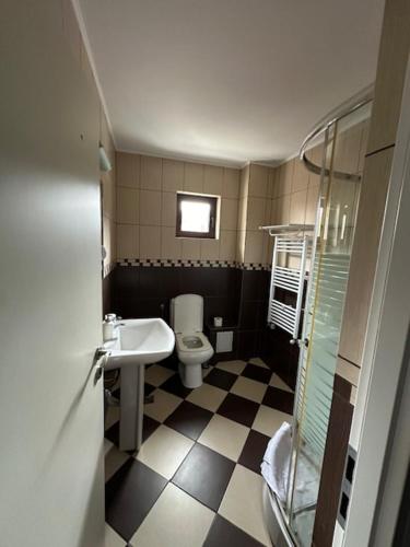 a bathroom with a sink and a toilet at Pasul Schiorilor by Genco in Azuga