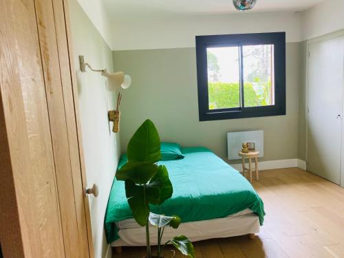 une chambre avec un lit vert et une fenêtre dans l'établissement La Zing-Ara, à Busque