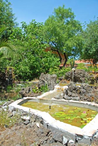 Κήπος έξω από το Sotto Il Vulcano