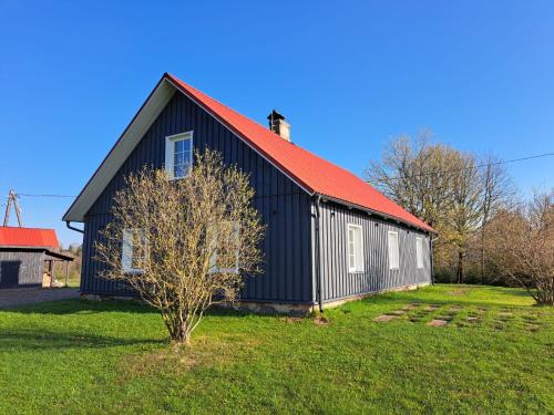 eine schwarze Scheune mit rotem Dach auf einem grünen Feld in der Unterkunft ZELTA KROGS 