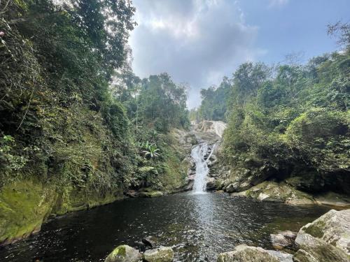 a waterfall in the middle of a river in a forest at Wind's House Ha Giang in Ha Giang