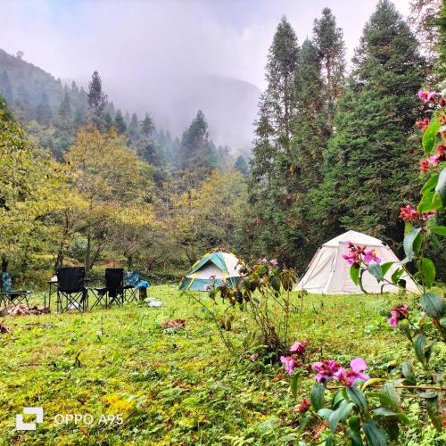 a group of tents in a field with trees at Wind's House Ha Giang in Ha Giang