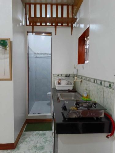 eine Küche mit einem Herd, einem Waschbecken und einer Dusche in der Unterkunft AJ Transient House in Gairan