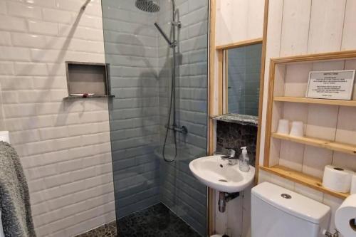 une salle de bain avec un lavabo, une douche et des toilettes dans l'établissement Gîtes Le Carpe Diem, Cottage Le Petit Pattaris, à Frayssinet-le-Gélat