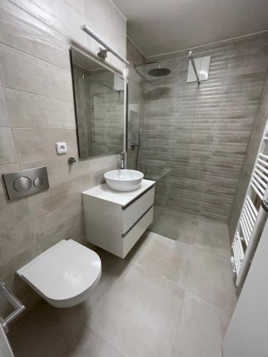 ein Badezimmer mit einem weißen WC und einem Waschbecken in der Unterkunft Apartmán Sadová Zlín in Zlín