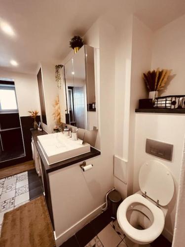 une salle de bain avec des toilettes blanches et un lavabo dans l'établissement Appartement proche de Paris, à Sartrouville